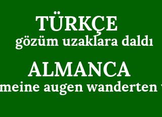 g%C3%B6z%C3%BCm+uzaklara+dald%C4%B1-meine+augen+wanderten+weg.png