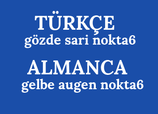 g%C3%B6zde+sari+nokta6-gelbe+augen+nokta6.png