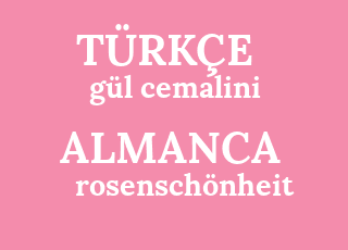 g%C3%BCl+cemalini-rosensch%C3%B6nheit.png