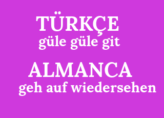 g%C3%BCle+g%C3%BCle+git-geh+auf+wiedersehen.png