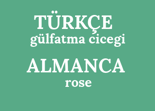 g%C3%BClfatma+cicegi-rose.png