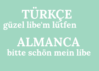 g%C3%BCzel+libe%26%2339%3Bm+l%C3%BCtfen-bitte+sch%C3%B6n+mein+libe.png