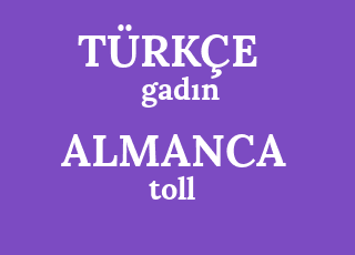 gad%C4%B1n-toll.png