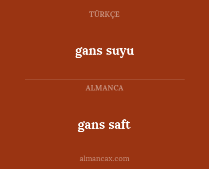 gans suyu - gans saft
