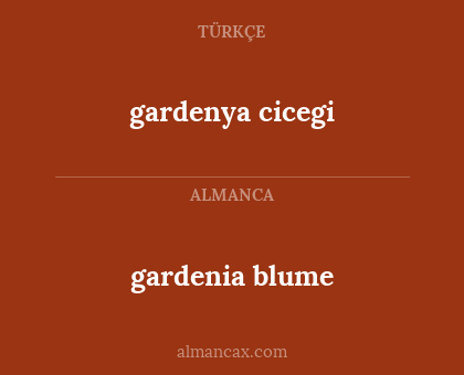 gardenya cicegi - gardenia blume