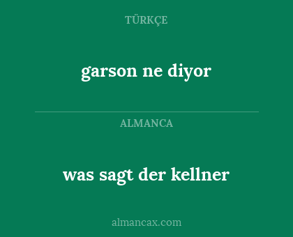 garson ne diyor - was sagt der kellner