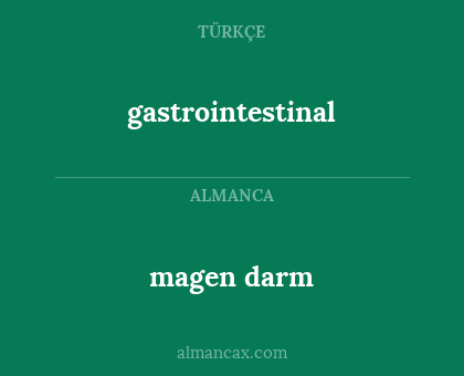magen darm - gastrointestinal