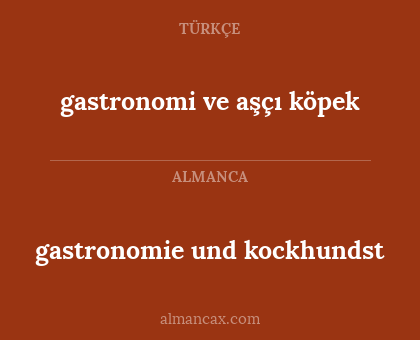 gastronomi ve aşçı köpek - gastronomie und kockhundst