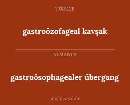 gastroözofageal kavşak - gastroösophagealer übergang
