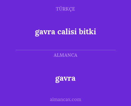 gavra calisi bitki - gavra