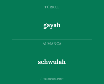 schwulah - gayah