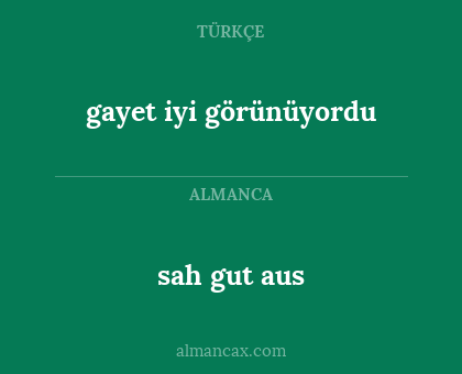 gayet iyi görünüyordu - sah gut aus