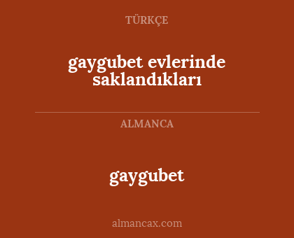 gaygubet - gaygubet evlerinde saklandıkları