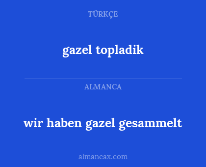 gazel topladik - wir haben gazel gesammelt