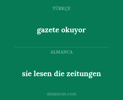 gazete okuyor - sie lesen die zeitungen