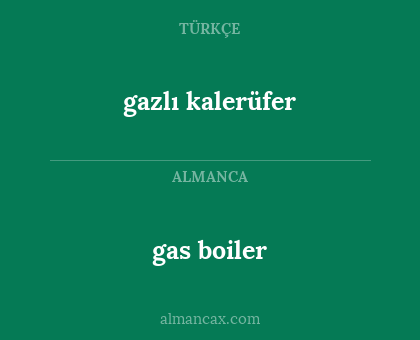 gas boiler - gazlı kalerüfer