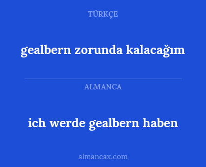 gealbern zorunda kalacağım - ich werde gealbern haben