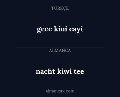 gece kiui cayi - nacht kiwi tee