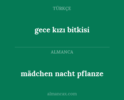 mädchen nacht pflanze - gece kızı bitkisi