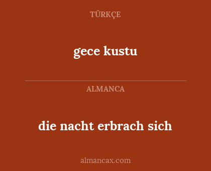 gece kustu - die nacht erbrach sich