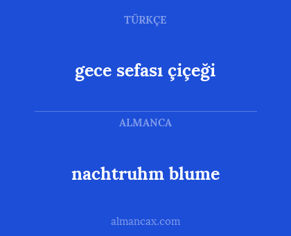 gece sefası çiçeği - nachtruhm blume