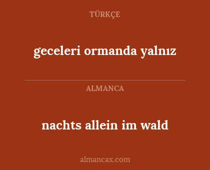 geceleri ormanda yalnız - nachts allein im wald