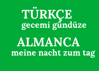 gecemi+g%C3%BCnd%C3%BCze-meine+nacht+zum+tag.png