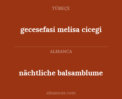 nächtliche balsamblume - gecesefasi melisa cicegi