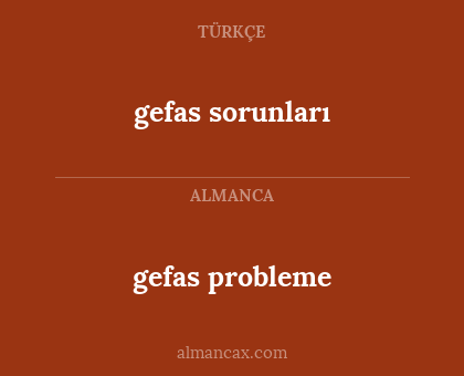 gefas probleme - gefas sorunları