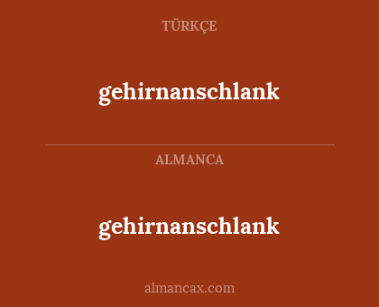 gehirnanschlank - gehirnanschlank