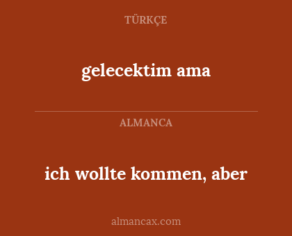 gelecektim ama - ich wollte kommen, aber