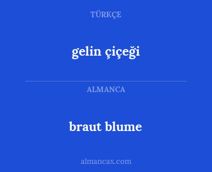 braut blume - gelin çiçeği