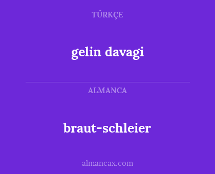 braut-schleier - gelin davagi