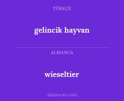gelincik hayvan - wieseltier