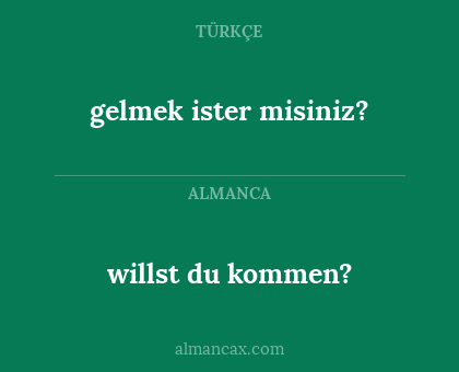 willst du kommen? - gelmek ister misiniz?