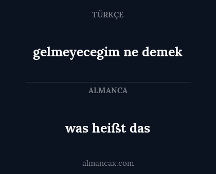 was heißt das - gelmeyecegim ne demek