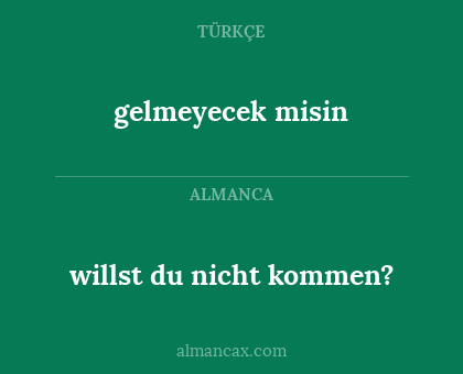 willst du nicht kommen? - gelmeyecek misin