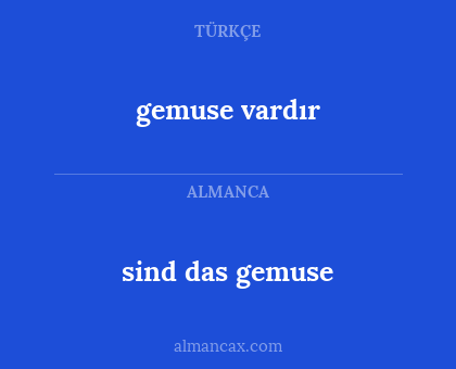 sind das gemuse - gemuse vardır
