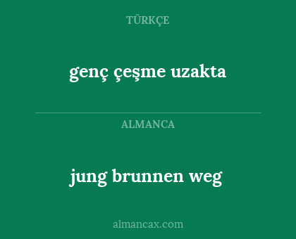 genç çeşme uzakta - jung brunnen weg