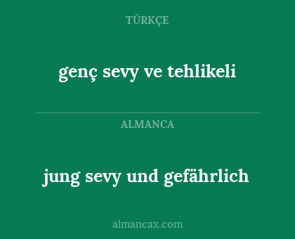 jung sevy und gefährlich - genç sevy ve tehlikeli