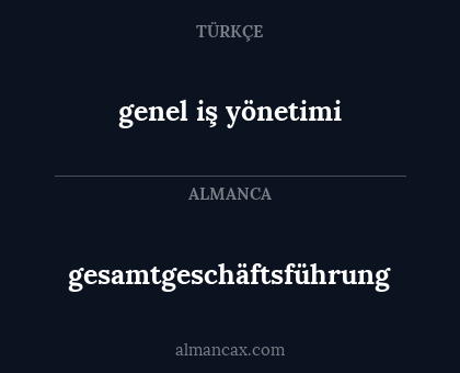 gesamtgeschäftsführung - genel iş yönetimi
