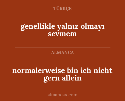 genellikle yalnız olmayı sevmem - normalerweise bin ich nicht gern allein