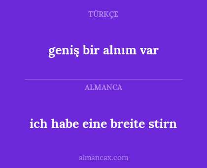 geniş bir alnım var - ich habe eine breite stirn