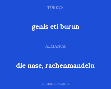 genis eti burun - die nase, rachenmandeln