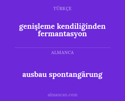 genişleme kendiliğinden fermantasyon - ausbau spontangärung