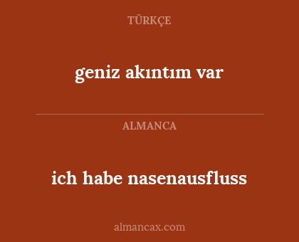 ich habe nasenausfluss - geniz akıntım var