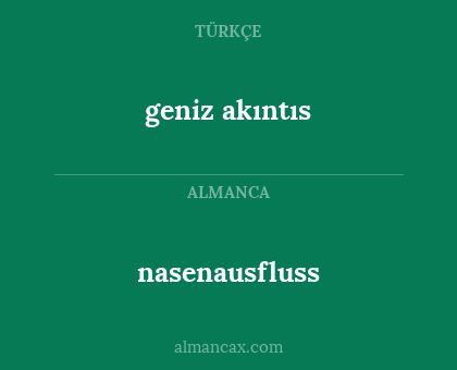 nasenausfluss - geniz akıntıs