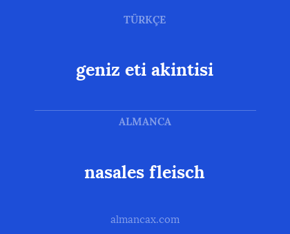 nasales fleisch - geniz eti akintisi