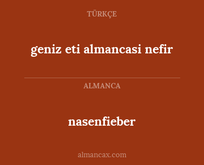 nasenfieber - geniz eti almancasi nefir
