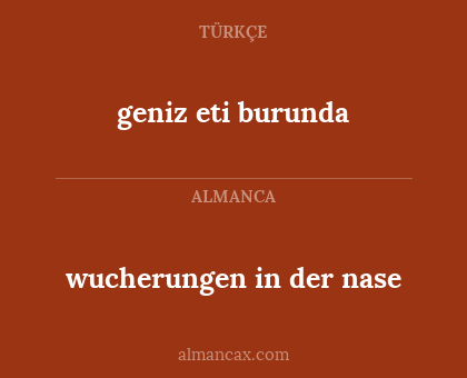 geniz eti burunda - wucherungen in der nase